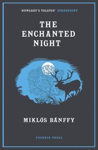 Produktbild: The Enchanted Night