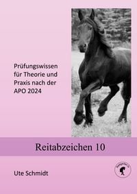 Produktbild: Reitabzeichen 10