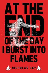 Produktbild: At The End Of The Day I Burst Into Flames