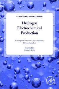 Produktbild: Hydrogen Electrochemical Production
