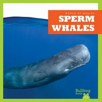 Produktbild: Sperm Whales