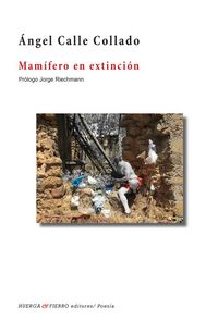 Produktbild: Mam&iacute;fero en extinci&oacute;n