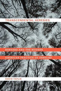 Produktbild: Transcendental Heresies