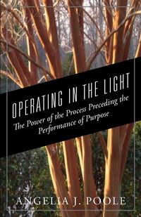Produktbild: Operating in The Light
