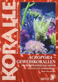 Bild vom Artikel Acropora - Geweihkorallen im Meerwasseraquarium vom Autor Dieter Brockmann