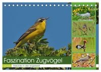 Produktbild: Faszination Zugv&ouml;gel - Rekorde in der Vogelwelt (Tischkalender 2026 DIN A5 quer), CALVENDO Monatskalender