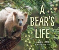 Produktbild: A Bear's Life