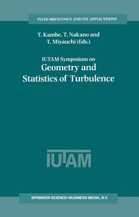 Produktbild: IUTAM Symposium on Geometry and Statistics of Turbulence