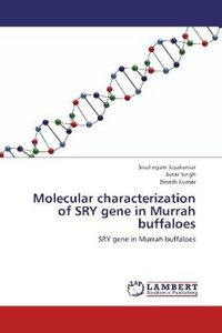 Produktbild: Jayakumar, S: Molecular characterization of SRY gene in Murr