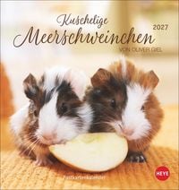 Produktbild: Kuschelige Meerschweinchen Postkartenkalender 2027