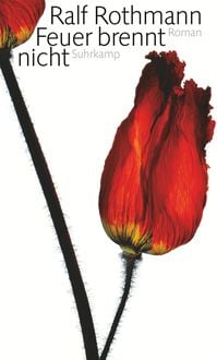 Produktbild: Feuer brennt nicht