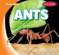 Produktbild: Busy Bugs Ants