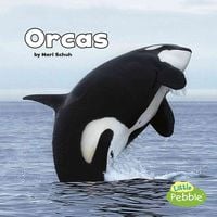 Produktbild: Orcas