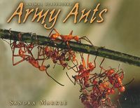 Produktbild: Markle, S: Army Ants