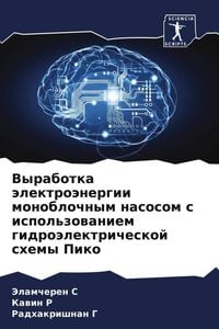 Produktbild: Vyrabotka &auml;lektro&auml;nergii monoblochnym nasosom s ispol'zowaniem gidro&auml;lektricheskoj shemy Piko