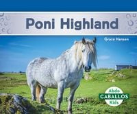 Produktbild: Poni Highland (Highland Ponies)