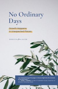 Produktbild: No Ordinary Days