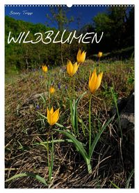 Produktbild: WILDBLUMEN (Wandkalender 2027 DIN A2 hoch), CALVENDO Monatskalender