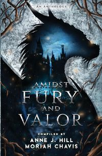 Produktbild: Amidst Fury and Valor