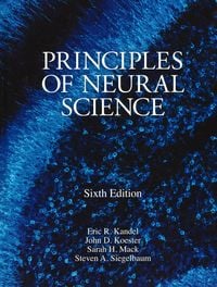 Produktbild: Principles of Neural Science