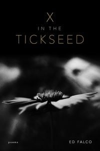 Produktbild: X in the Tickseed