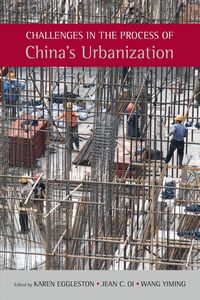 Produktbild: Challenges in the Process of China's Urbanization