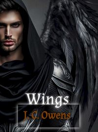 Produktbild: Wings
