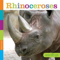 Produktbild: Rhinoceroses