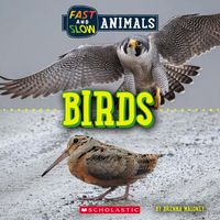 Produktbild: Birds (Wild World: Fast and Slow Animals)
