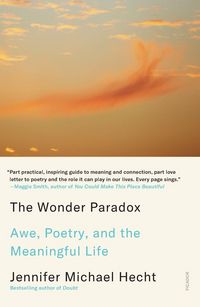 Produktbild: The Wonder Paradox