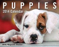 Produktbild: Puppies Calendar