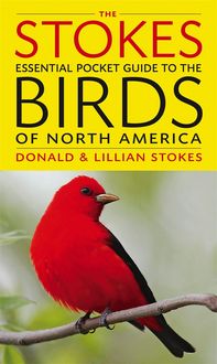 Produktbild: The Stokes Essential Pocket Guide to the Birds of North America