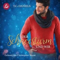 Produktbild: Der Schneesturm und wir