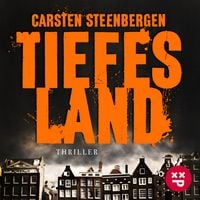 Bild vom Artikel Tiefes Land, Band 1 (Amsterdam-Thriller) vom Autor Carsten Steenbergen