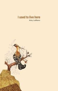 Produktbild: I Used to Live Here