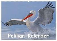 Produktbild: Pelikan-Kalender (Wandkalender 2027 DIN A2 quer), CALVENDO Monatskalender