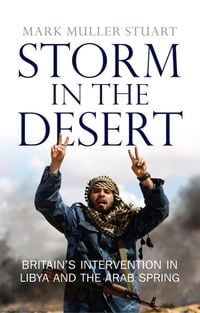 Produktbild: Storm in the Desert