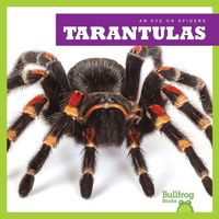 Produktbild: Tarantulas