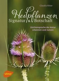 Produktbild: Heilpflanzen. Signatur und Botschaft