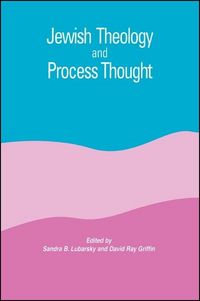 Produktbild: Jewish Theology and Process Thought