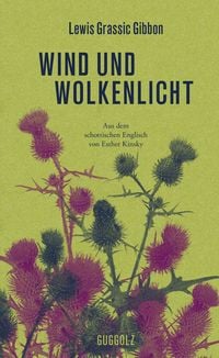 Produktbild: Wind und Wolkenlicht