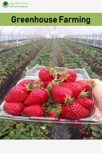 Produktbild: Greenhouse Farming