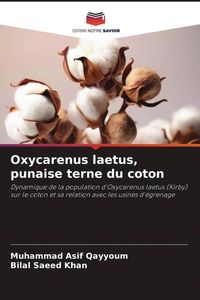 Produktbild: Oxycarenus laetus, punaise terne du coton