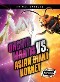 Produktbild: Orchid Mantis vs. Asian Giant Hornet