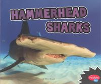 Produktbild: Hammerhead Sharks