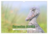 Produktbild: Tierwelten UGANDA (Wandkalender 2026 DIN A3 quer), CALVENDO Monatskalender