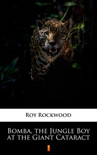 Produktbild: Bomba, the Jungle Boy at the Giant Cataract