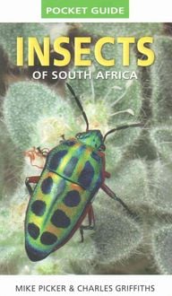 Produktbild: Pocket Guide: Insects of South Africa