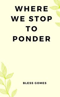 Produktbild: Where We Stop to Ponder