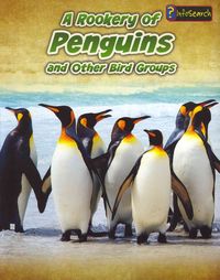 Produktbild: Rookery Of Penguins